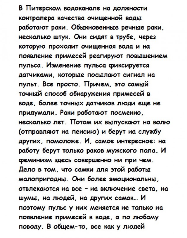 Анекдоты, соц-сети и картинки с надписями