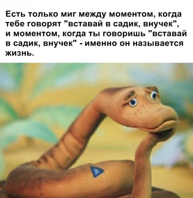 Анекдоты, соц-сети и картинки с надписями
