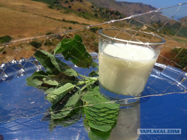 Сыр, груши и классовая ненависть