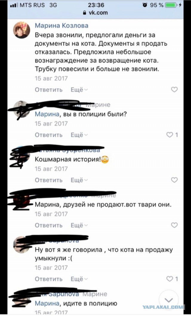 Помогите вернуть кота! Приют "Преданное сердце" украл кота и не отдает!