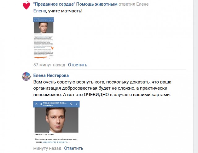 Помогите вернуть кота! Приют "Преданное сердце" украл кота и не отдает!