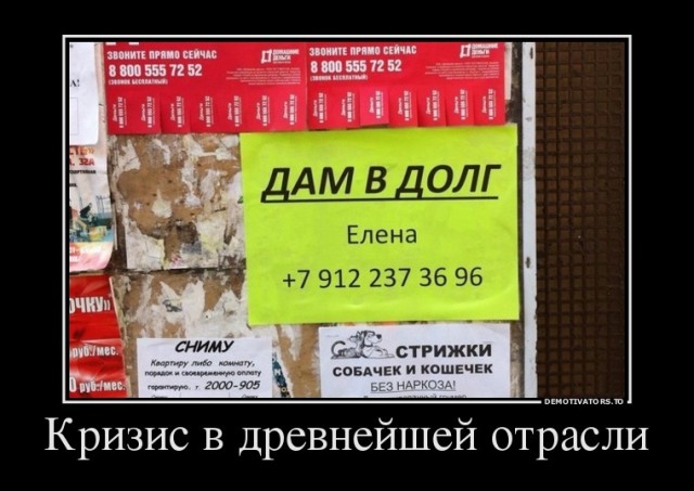 Картинки с надписями, истории и анекдоты 08.11.19