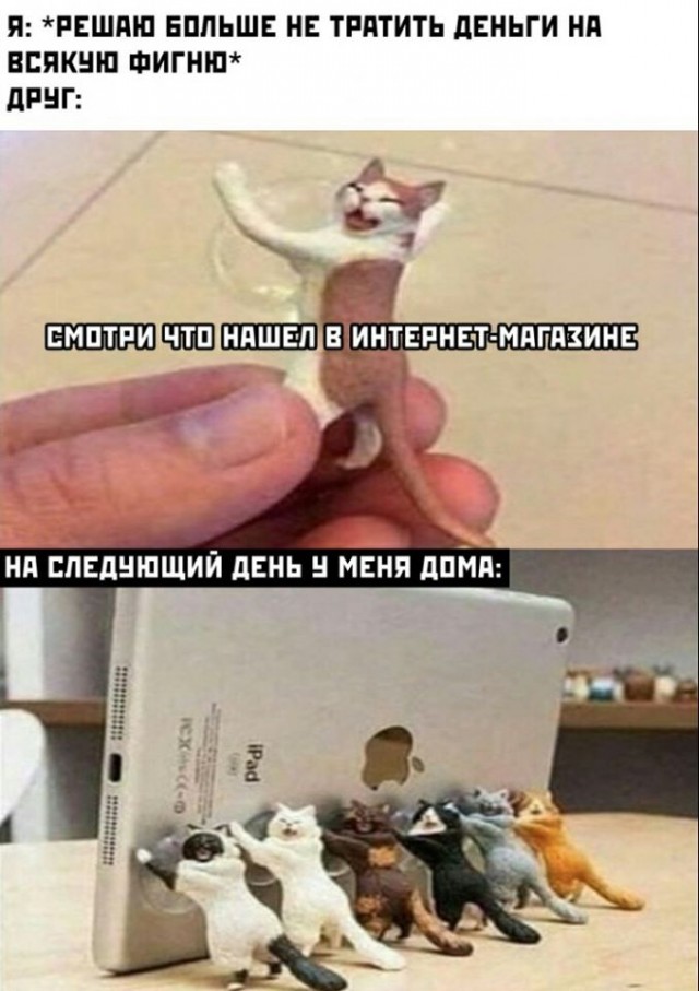 Бредзона 08.03.20