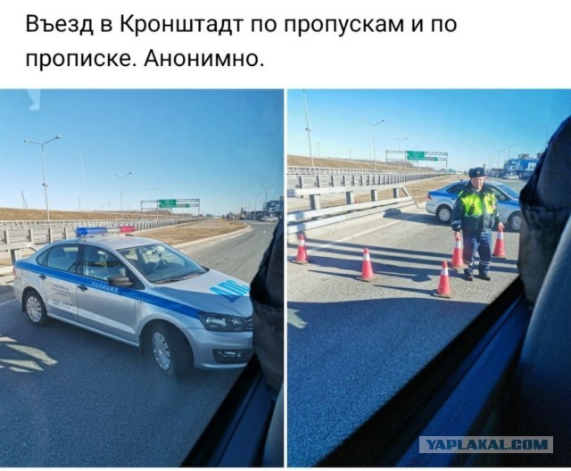 Пандемия. Коронавирус. Россия и мир. Последняя информация. Часть 11