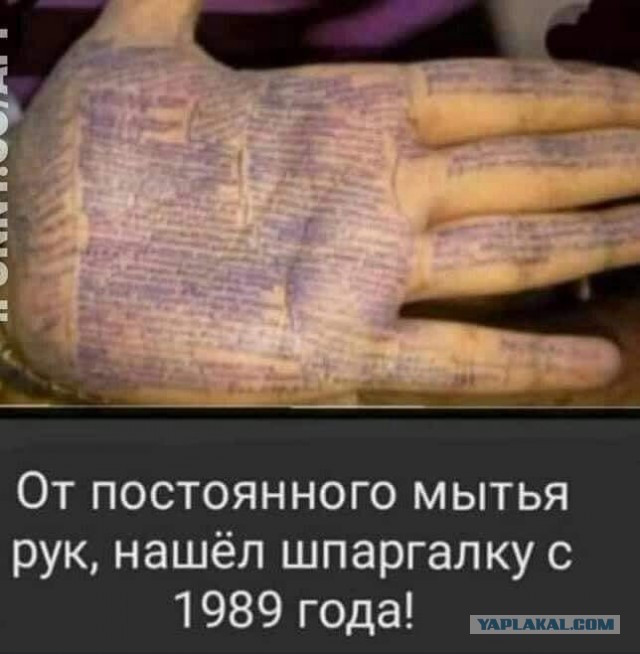 Бредзона 19.05.2020