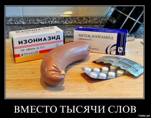 С начала года в Воронеже и области бродячие собаки покусали более 1 100 человек