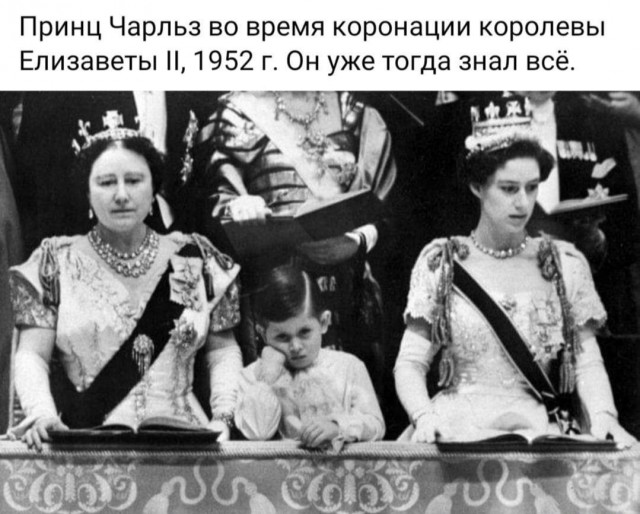Веселые картинки отовсюду 23.02.21