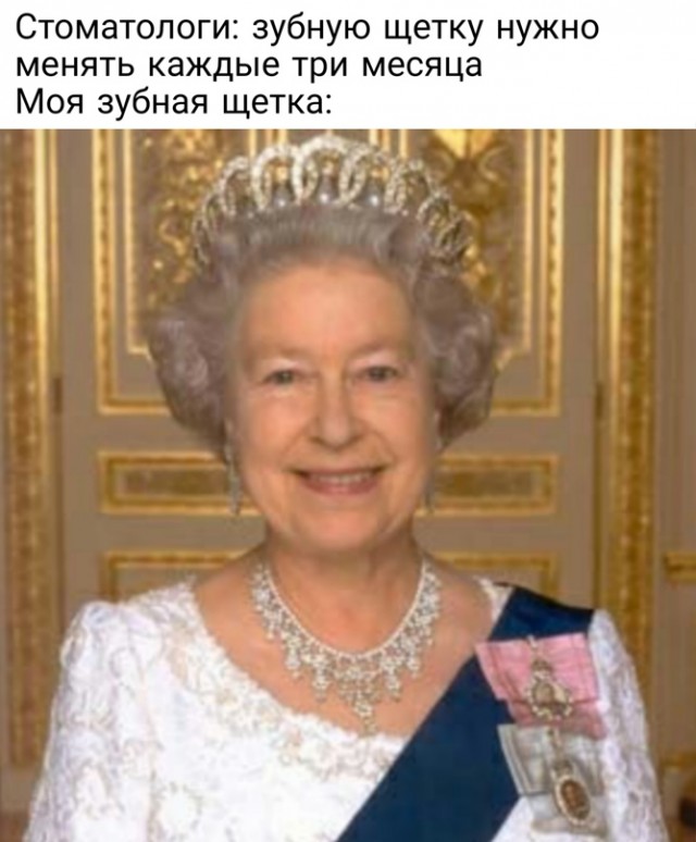 Весёлый полтишок 20.03
