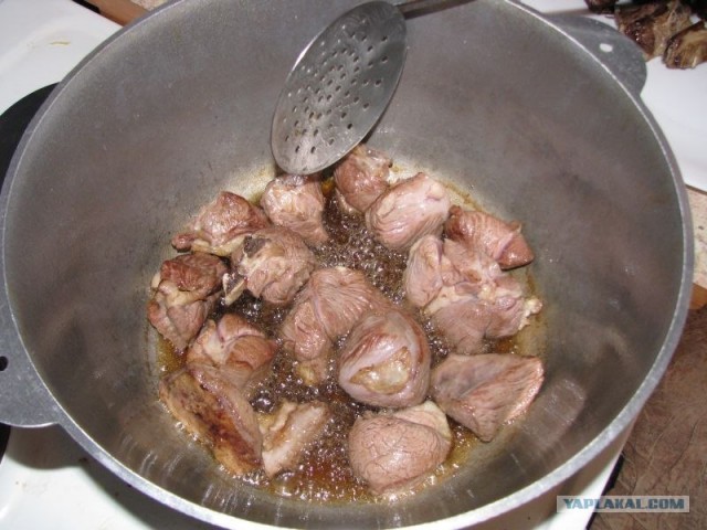Кухня Казахстана