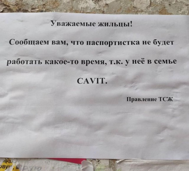 Так себе картинки 25.09.21