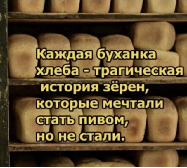 Алкопост 8.10.21