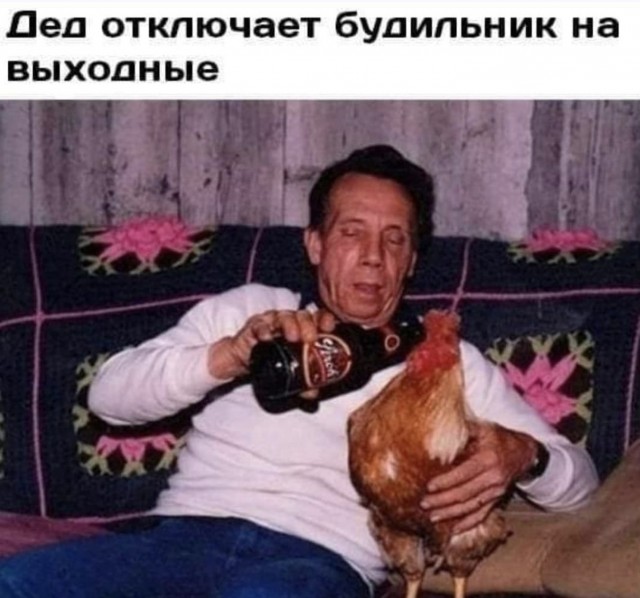 Так себе картинки 23.10.21