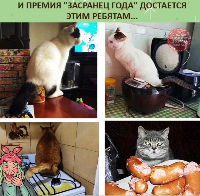 - Чем будете удивлять?
