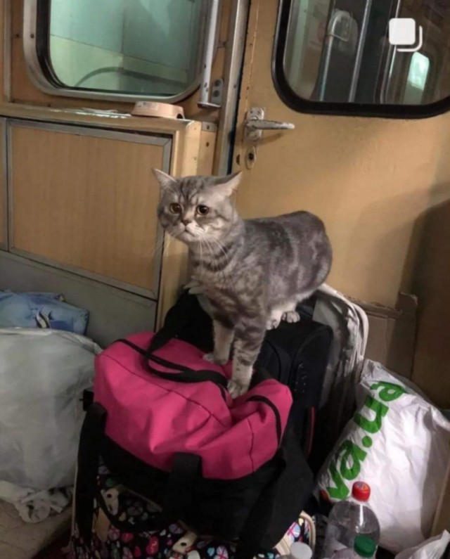 Вот он больше всех нихрена не понял.