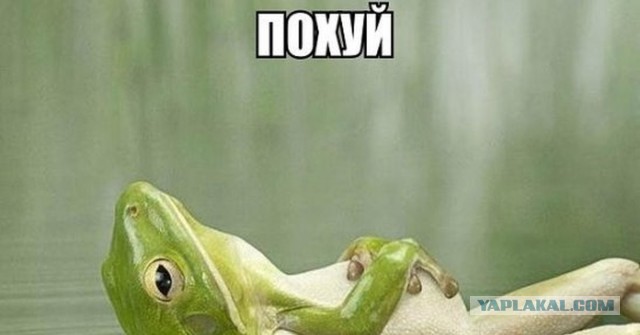Арестовича сняли
