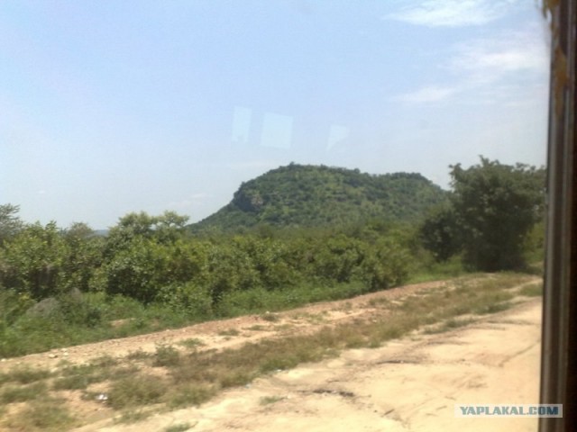 Yes! It's Africa