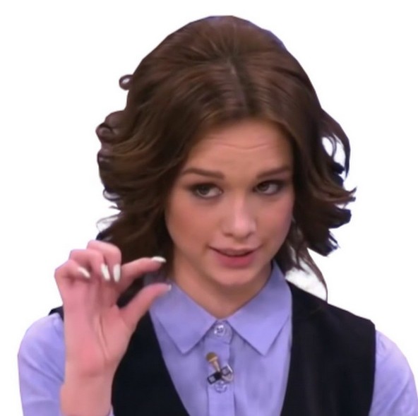 В Австрии не стали задерживать сирийского беженца, изнасиловавшего 15-летнюю украинку.