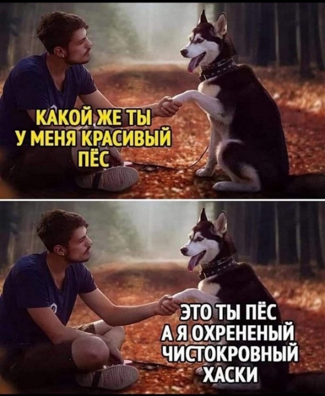 Так себе картинки 20.05.22