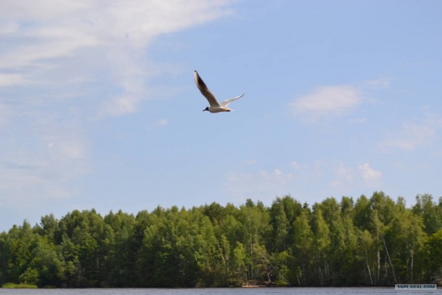 Отдых по-русски.