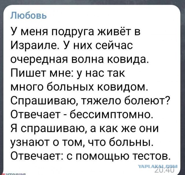 Пандемия съехавших крыш - разновидности болезни. Россия и мир. Часть 39.