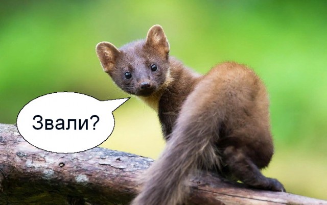 Реверсивные отношения: когда женщина ухаживает за мужчиной