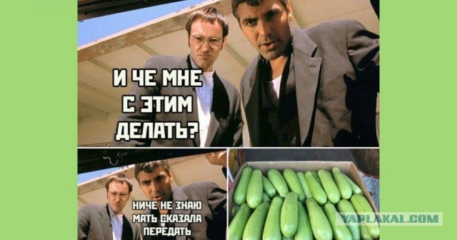 Как утилизировать кабачки правильно. Рецепт.