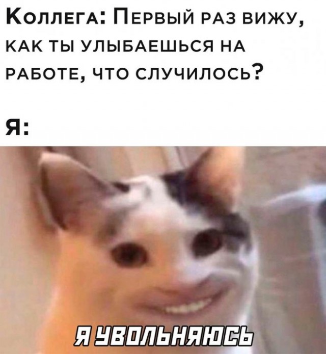 Картинки и мемы для настроения - 009