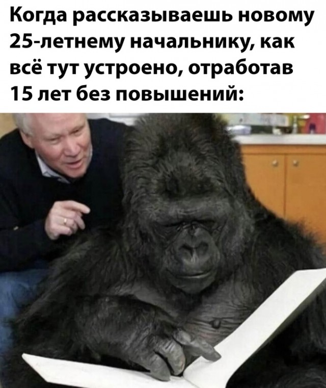 Картинки и мемы, всем хороших выходных