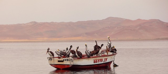 Южно-Американский дневник. Перу.