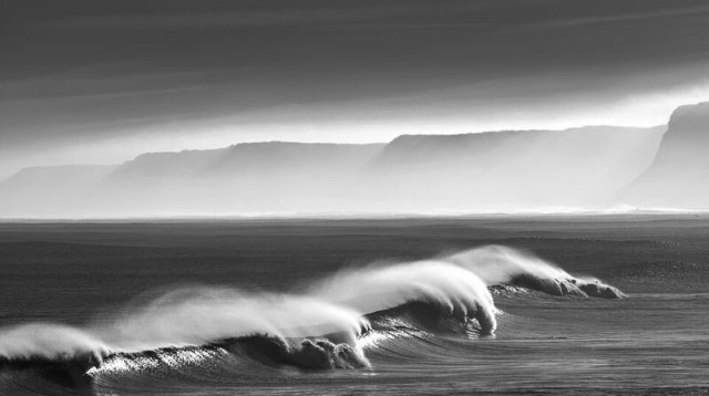 Победители фотоконкурса Ocean Photographer of the Year 2022