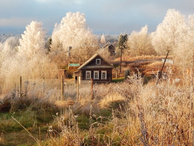 Поздней осенью в деревне