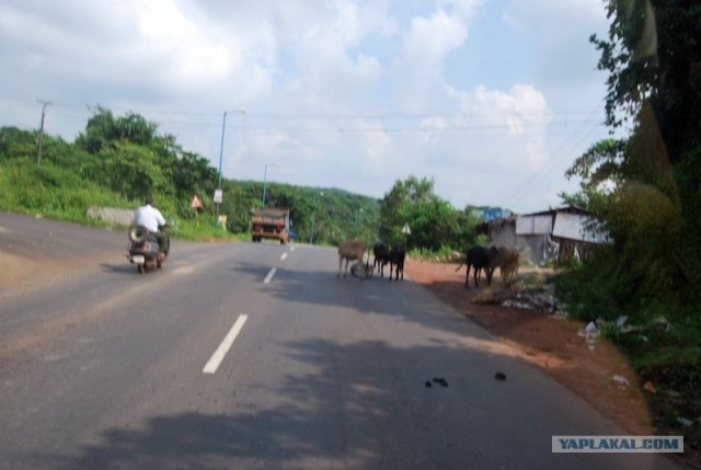 ГоА свои впечатления