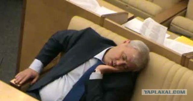 Жалко тратить время на сон