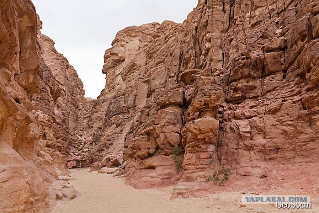 Синайские приключения. Шарм-эш-Шейх и окресности