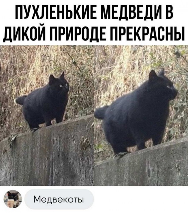 Картинки и мемы, всем хороших выходных