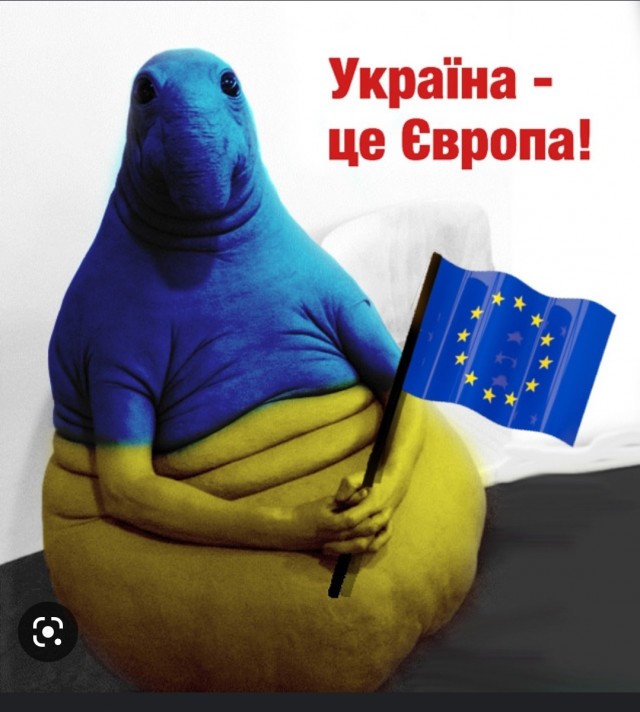 Макрон передал Украине противотанковые комплексы пятого поколения Akeron MP