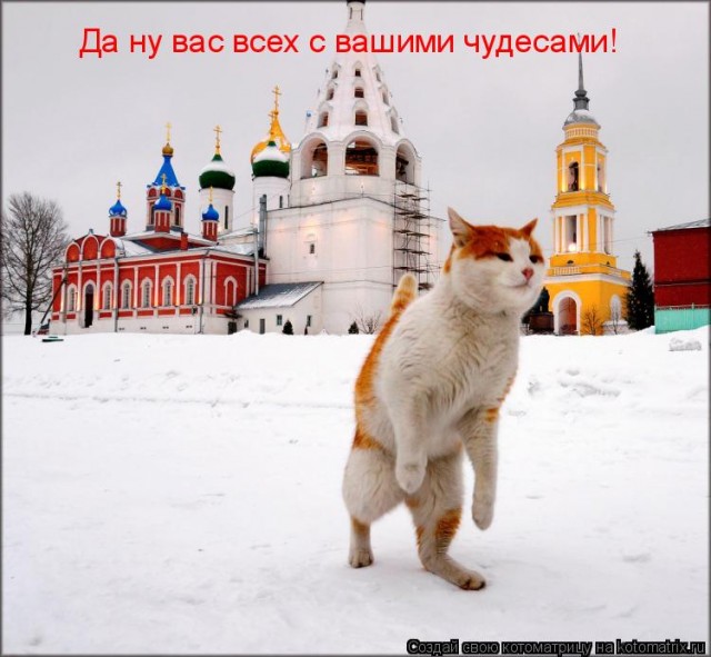 Юмор в картинках и без