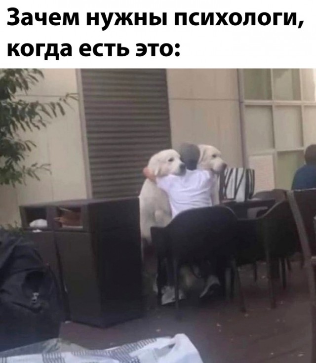 Немного картинок для настроения - 177