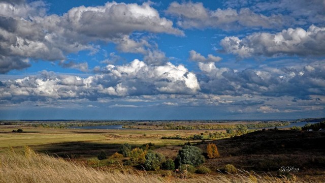 Перед грозой в поле