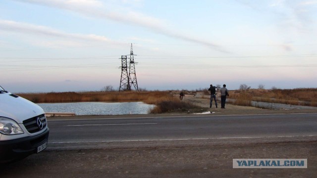 Крым в феврале или "Не стреляйте в белых лебедей!"