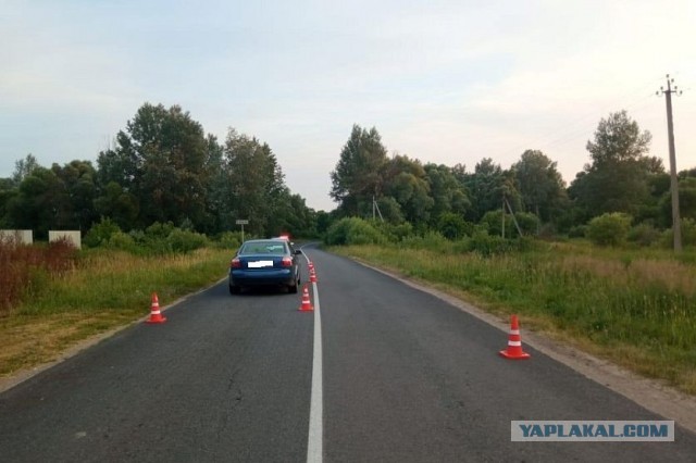 Сын криминального авторитета / кандидат в депутаты курского Железногорска / директор одной из местных УК сбил 9-летнего мальчика