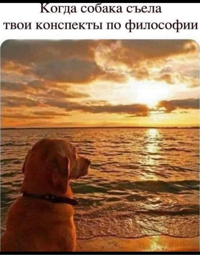 Всякая картиночная хня