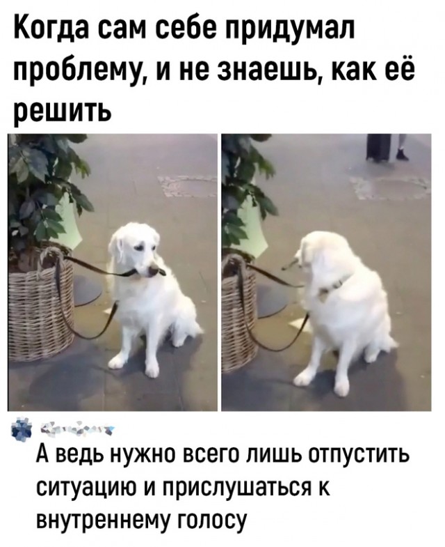 Недопятница 09-11-2023