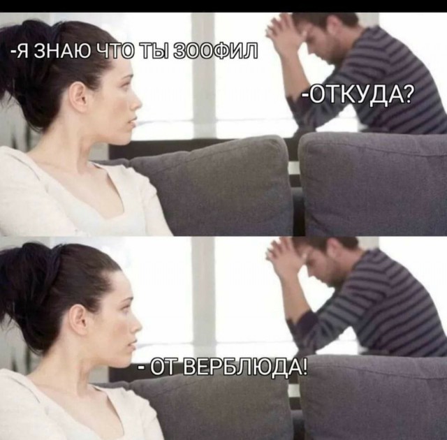Куча веселых картинок
