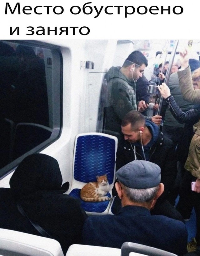 Так себе картинки 13.04.24