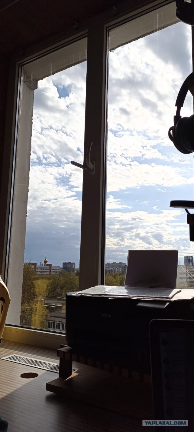 Кто чем занят в выходной день?