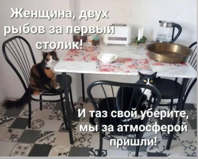 Немного забавных картинок 27.07.24