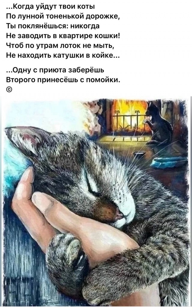 Спи, Гарфилд!