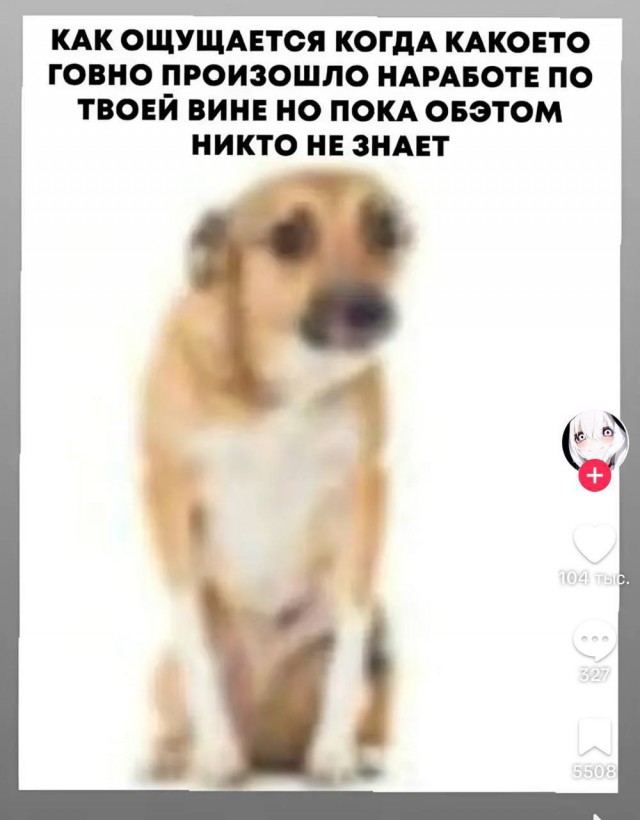 Всего понемногу. От 02.12.2024