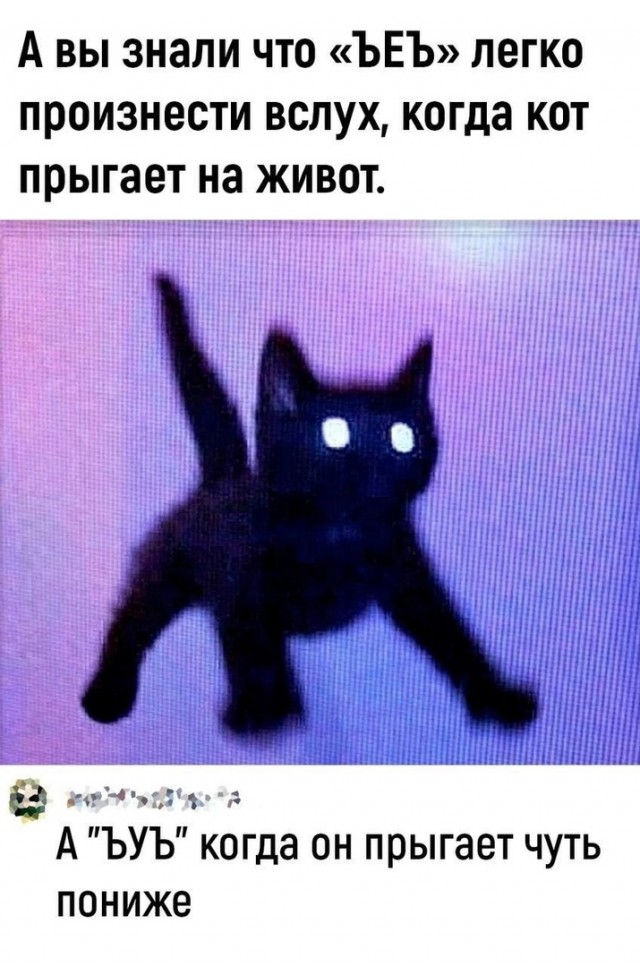 Так себе картинки 09.01.25